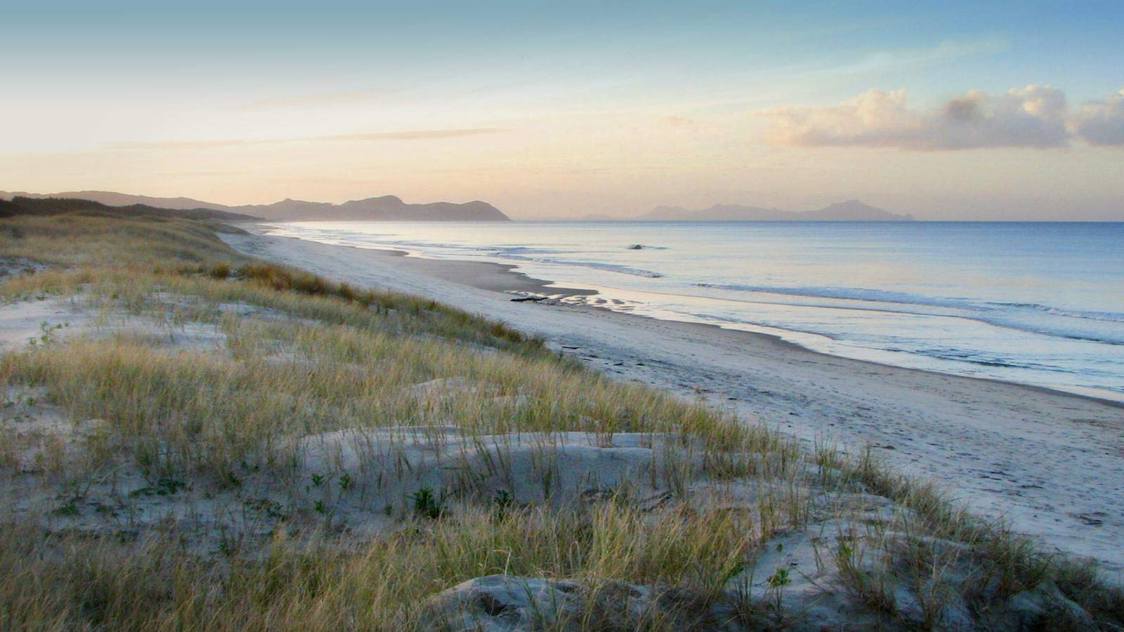 Legacy Partners Exclusive New Zealand Real Estate